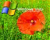 windows_vista_3.jpg‏