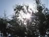    

:	DSC00201 (Medium).JPG
:	3
:	110.9 
:	294769