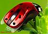     

:	1205522118_technologymachine006.JPG
:	37
:	26.5 
:	300659