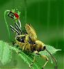     

:	1205522118_technologymachine004.JPG
:	38
:	29.4 
:	300661