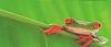     

:	M2D_Animals_07a.jpg
:	6
:	15.8 
:	310507