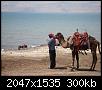     

:	DSC05773.jpg
:	5
:	300.1 
:	313004