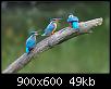     

:	5u2x39n571qf.jpg
:	3
:	49.5 
:	313039