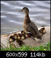     

:	ptkd102a7oxx.jpg
:	1
:	113.9 
:	313040