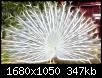     

:	(38).jpg
:	2
:	346.9 
:	313717