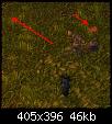     

:	red.jpg
:	57
:	46.0 
:	333097