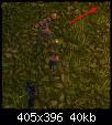     

:	green.jpg
:	42
:	40.0 
:	333098
