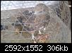     

:	alhnuf05c3f3c53d.jpg
:	11
:	305.8 
:	333182