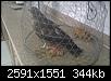     

:	7.jpg
:	6
:	343.7 
:	333183