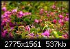    

:	IMG_2453.jpg
:	14
:	536.8 
:	333546