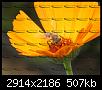     

:	IMG_2242.jpg
:	6
:	507.0 
:	334051