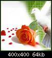     

:	93280.jpg
:	4
:	63.7 
:	335467