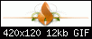     

:	2vbjxft.gif
:	36
:	11.5 
:	335489
