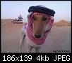     

:	imagesCAI3NS4W.jpg
:	21
:	4.4 
:	335752