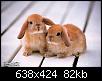     

:	1272026395.jpg
:	2
:	82.1 
:	336093