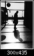     

:	tired_by_crnlious.jpg
:	5
:	12.6 
:	336518