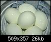     

:	Eat98983.jpg
:	6
:	25.9 
:	341004