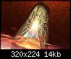     

:	CrystalPillar.jpg
:	53
:	14.0 
:	341251