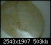     

:	IMG-20110627-00076.jpg
:	26
:	503.2 
:	341339