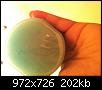     

:	IMG_1105.JPG
:	32
:	201.8 
:	342563