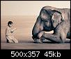     

:	hh7.net_13131761631.jpg
:	6
:	45.0 
:	343474