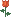    

:	rose.gif
:	4
:	327 
:	343703