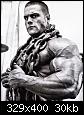    

:	evan-centopani-giant-muscles-chains1.jpg
:	32
:	29.8 
:	344508
