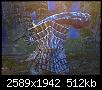     

:	20111018099.jpg
:	18
:	511.6 
:	345895