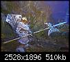     

:	20111018121.jpg
:	14
:	510.5 
:	345897