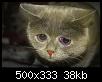     

:	sssy.jpg
:	25
:	37.9 
:	346667