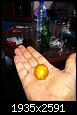     

:	IMG_0643.jpg
:	11
:	316.1 
:	347824