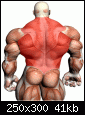     

:	exercises-back-traps.gif
:	10
:	40.6 
:	349703