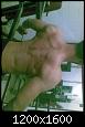     

:	ابو م*مود004.jpg
:	36
:	479.4 
:	349854