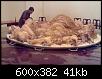     

:	m5znk-931e91a0fd.jpg
:	32
:	40.9 
:	350918