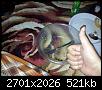     

:	20120411_051711.jpg
:	12
:	520.8 
:	351125