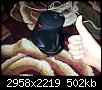     

:	20120411_052312.jpg
:	12
:	502.3 
:	351131