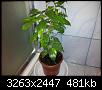     

:	20120411_052241.jpg
:	12
:	481.0 
:	351140