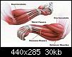     

:	monster_forearms001008.jpg
:	7
:	29.8 
:	351486
