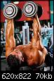     

:	Triceps-CLOSE-GRIP-DUMBBELL-PRESS-bodybuilding-workout.jpg
:	32
:	70.3 
:	351704