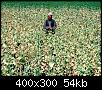     

:	184.jpg
:	43
:	54.1 
:	352116
