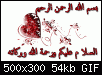     

:	245805_1329625372.gif
:	1
:	53.5 
:	354317