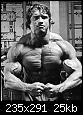     

:	arnold2.jpg
:	21
:	24.9 
:	354494