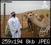     

:	imagesCAFX5A78م.jpg
:	36
:	7.8 
:	354966