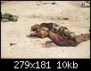     

:	11785_448713405217386_1198653266_n.jpg
:	5
:	9.6 
:	357134