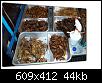     

:	qqqqwy4.jpg
:	12
:	43.6 
:	357606
