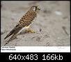     

:	7053928747_dab86cac67_z.jpg
:	22
:	166.0 
:	357737
