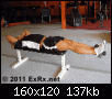     

:	0000000000000000000.gif
:	80
:	136.9 
:	357902