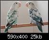     

:	%u0025D8%B7%D9%8A%D9%88%D8%B1+%D8%A7%D9%84%D8%AD%D8%A8+1.jpg
:	18
:	24.9 
:	357984
