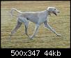     

:	mk16749_bolur_trab_kopie.jpg
:	14
:	43.8 
:	358908