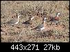     

:	d7roog.jpg
:	21
:	27.3 
:	360635